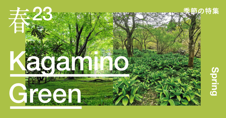 KAGAMINO Green 〜かがみの見つけた春の緑〜