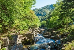 春夏秋冬それぞれに異なった表情を見せる渓谷美が、いつ訪れても心を落ち着かせてくれます。
長い時をかけ花崗岩が侵食されてできた甌穴群も著名で、見どころの一つとなっています。