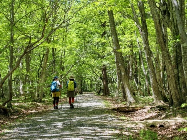 岡山県立森林公園