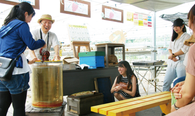 Yamada Bee Farm Honeybee Park